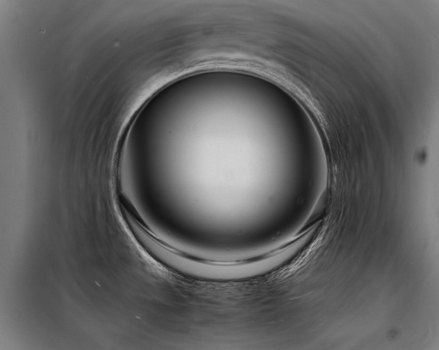 X0000098181533200804241210