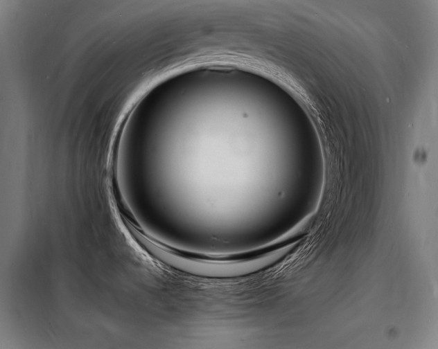 X0000098181536200804241210
