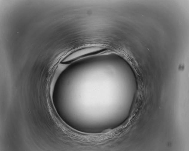 X0000098180001200805011046