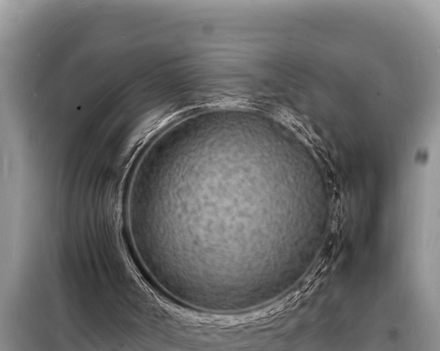 X0000098180002200805011046