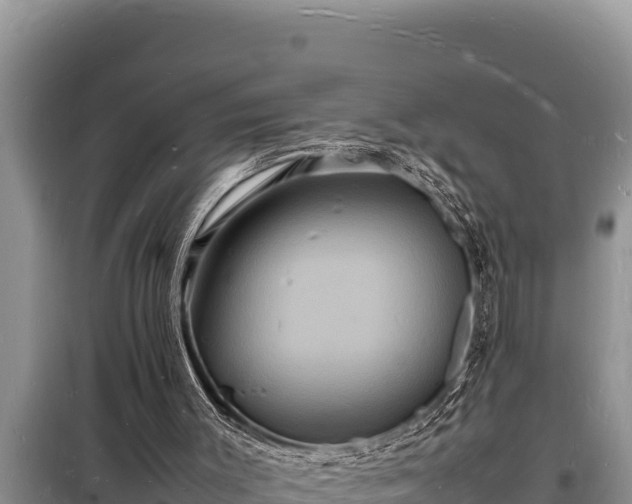 X0000098180003200805011046