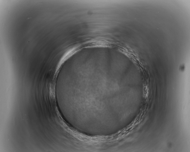 X0000098180004200805011046