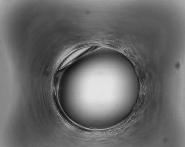 X0000098180005200805011046