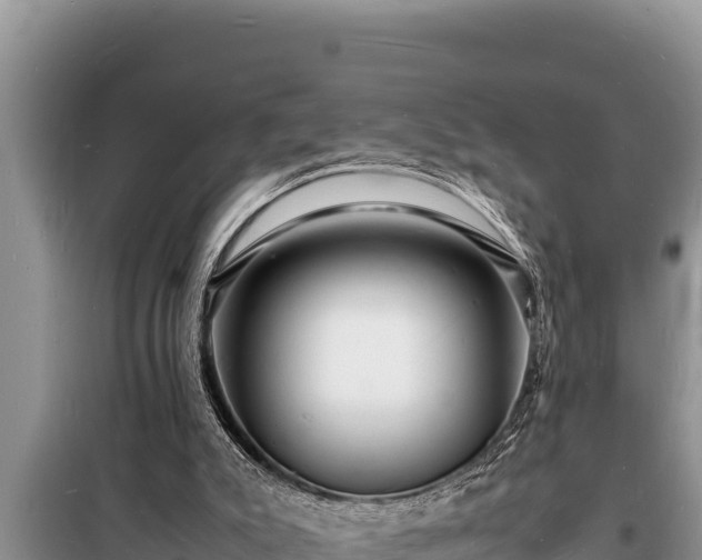 X0000098180007200805011046