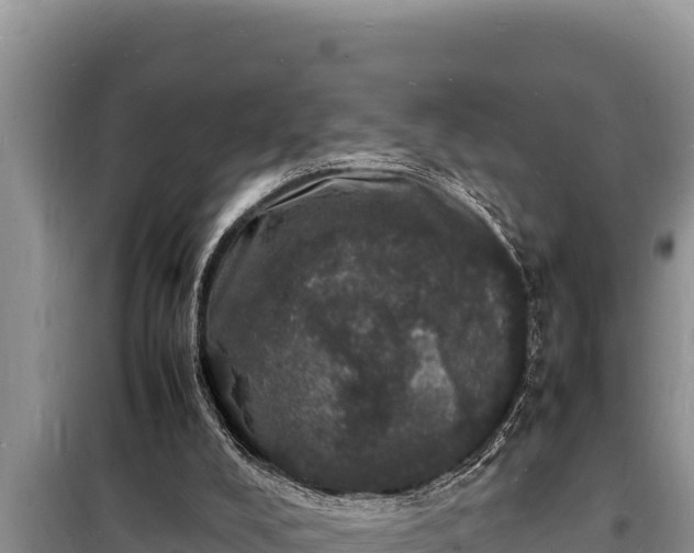 X0000098180008200805011046