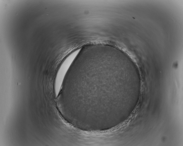 X0000098180009200805011046