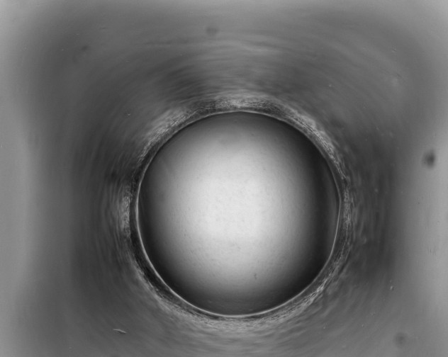 X0000098180010200805011046