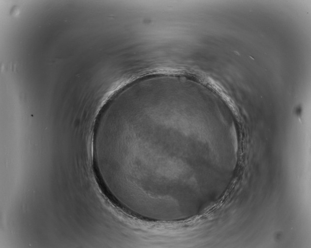 X0000098180011200805011046