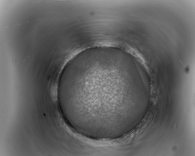 X0000098180012200805011046