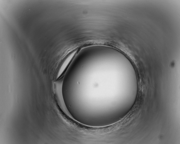 X0000098180013200805011046