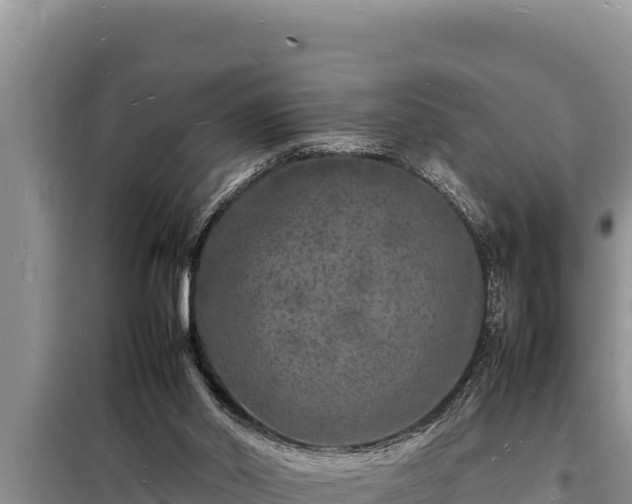 X0000098180014200805011046