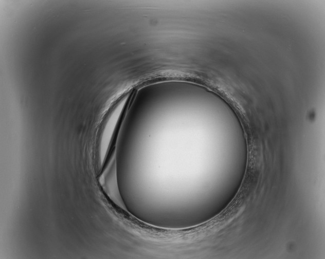 X0000098180015200805011046