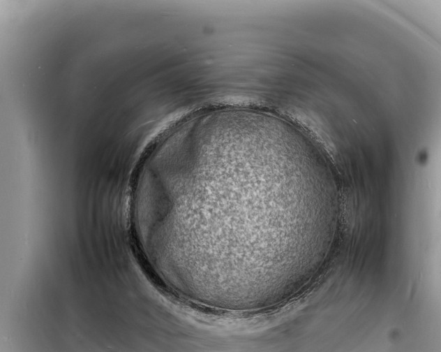 X0000098180016200805011046