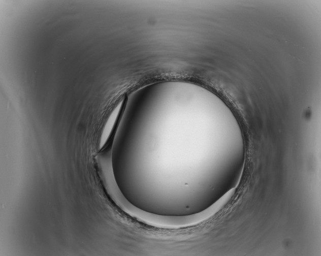 X0000098180017200805011046