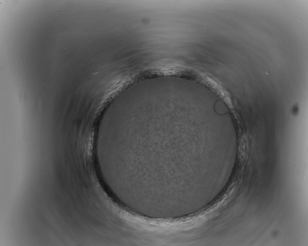 X0000098180018200805011046