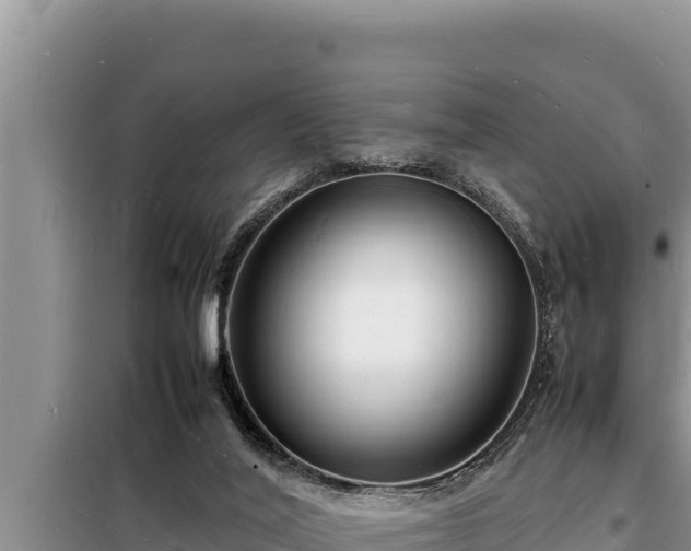 X0000098180020200805011046