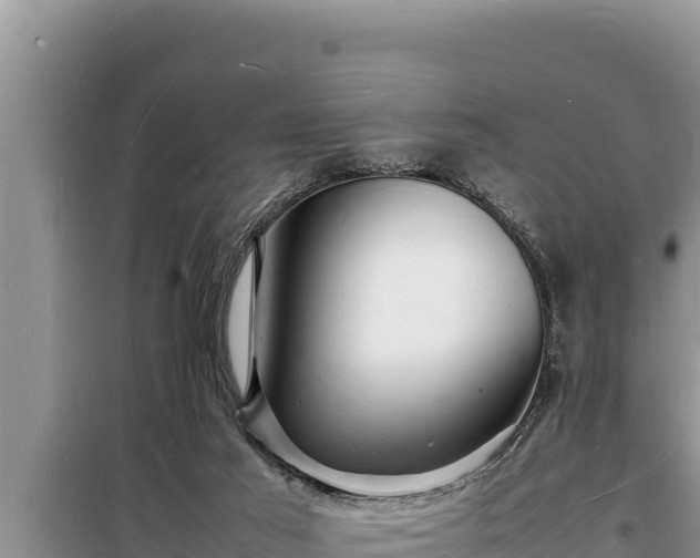 X0000098180021200805011046