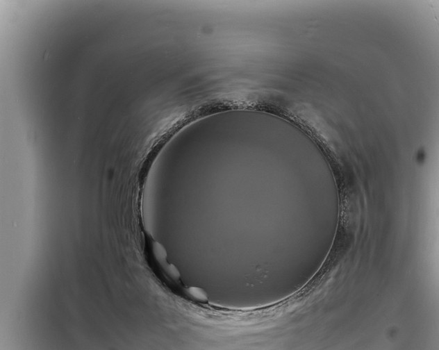 X0000098180023200805011046