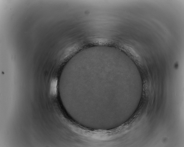 X0000098180024200805011046