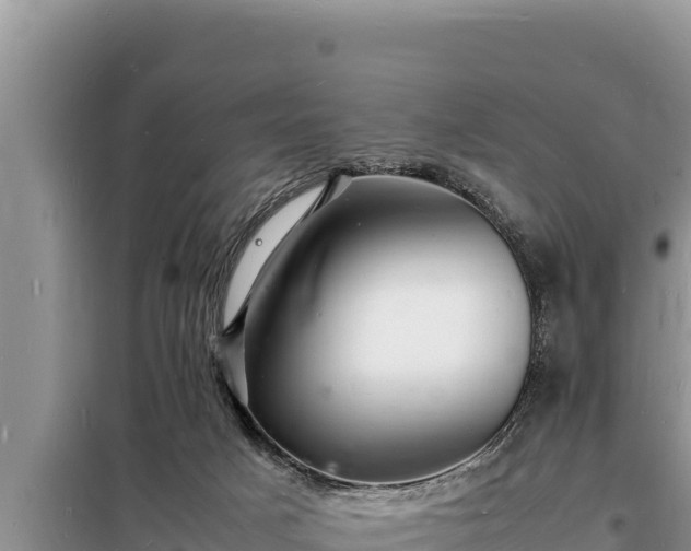 X0000098180025200805011046