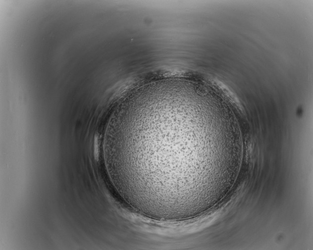 X0000098180026200805011046