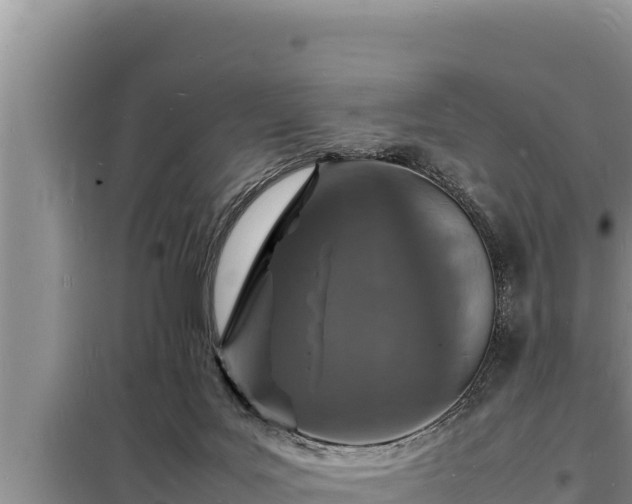 X0000098180027200805011046