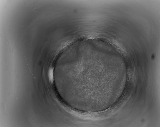 X0000098180028200805011046