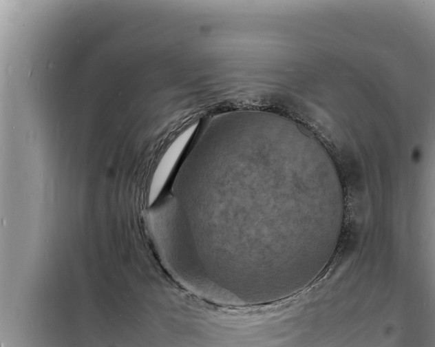 X0000098180029200805011046