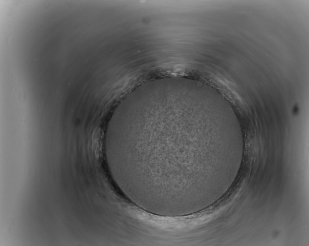 X0000098180030200805011046