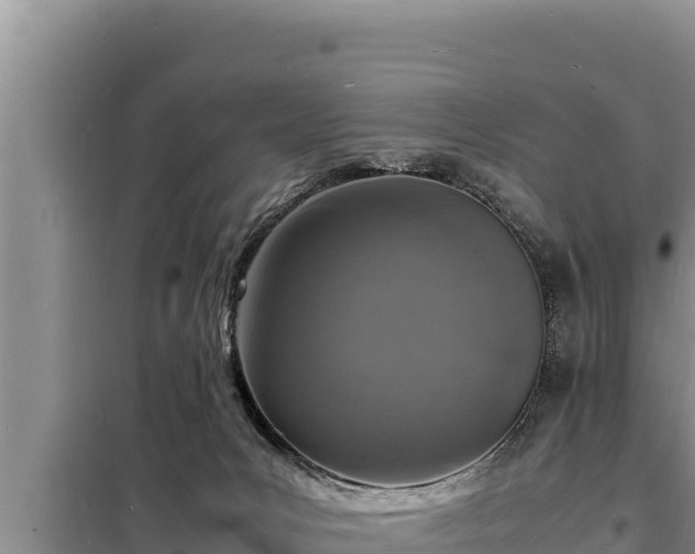 X0000098180031200805011046