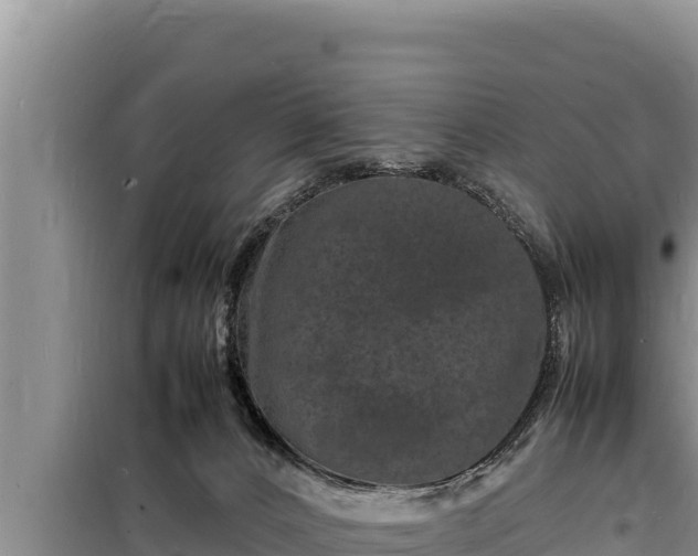 X0000098180032200805011046