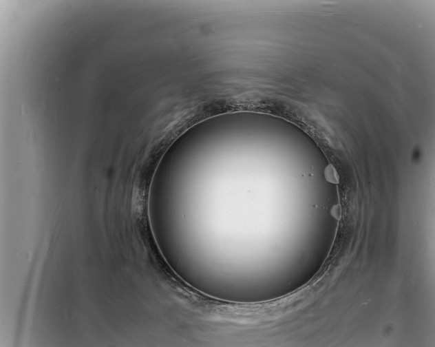 X0000098180033200805011046