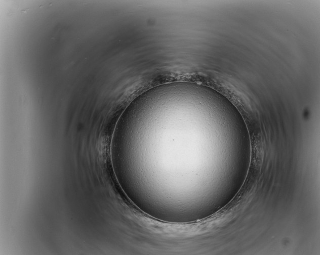 X0000098180034200805011046