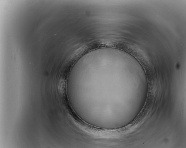 X0000098180036200805011046