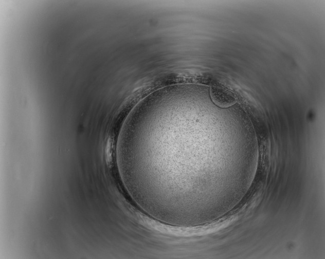 X0000098180038200805011046