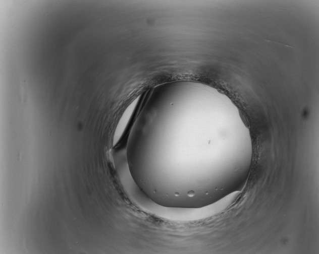 X0000098180041200805011046