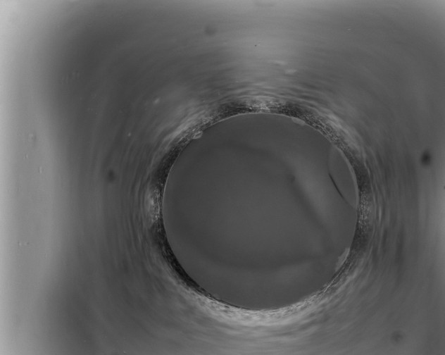 X0000098180043200805011046