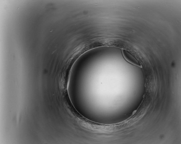 X0000098180044200805011046