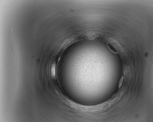 X0000098180046200805011046