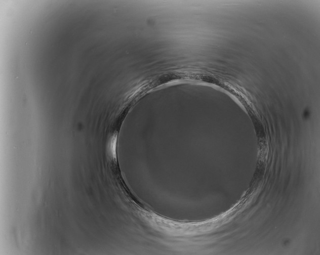 X0000098180047200805011046