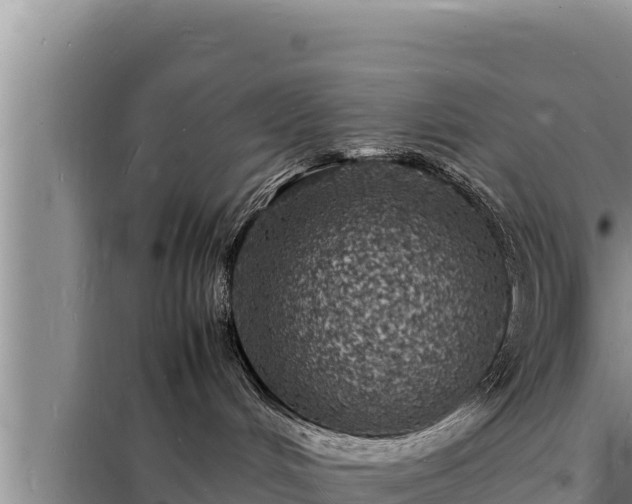 X0000098180048200805011046