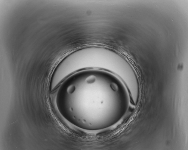 X0000098180049200805011045