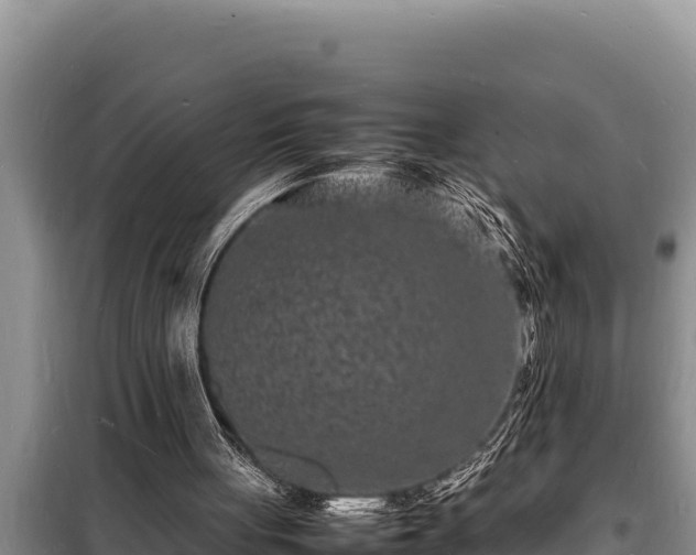 X0000098180051200805011045