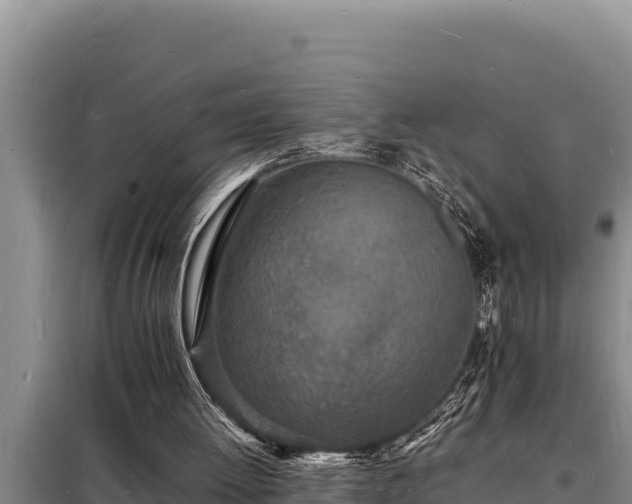 X0000098180052200805011045