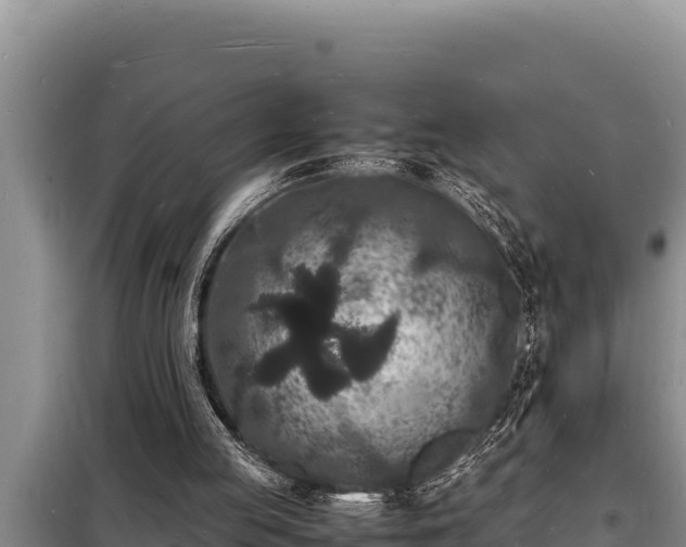 X0000098180053200805011045