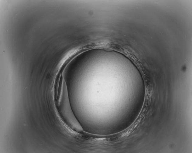 X0000098180054200805011045