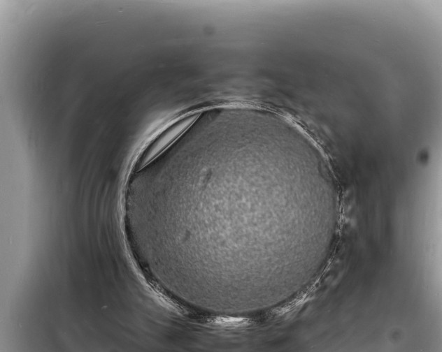 X0000098180055200805011045