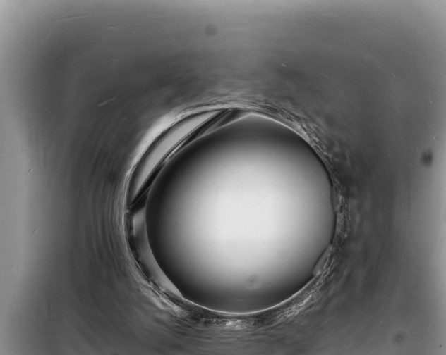 X0000098180056200805011045