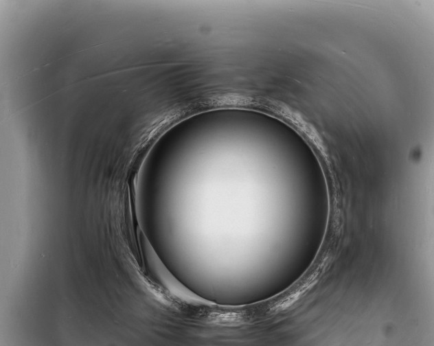 X0000098180057200805011045