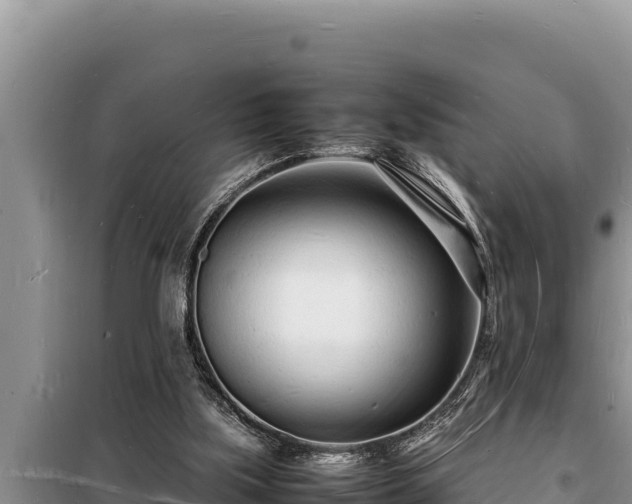 X0000098180059200805011045